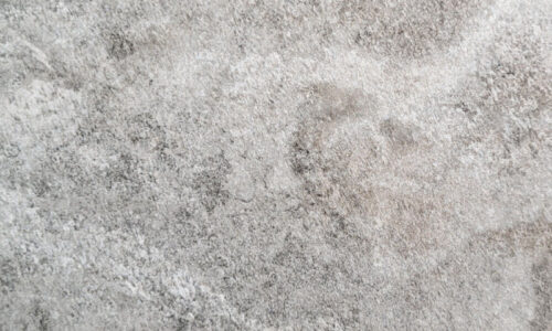 TAYLOR PERLA 24 x 24