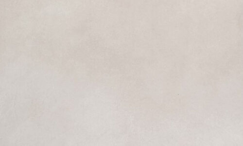 EVOLUTION BEIGE NAT. 24 x 24