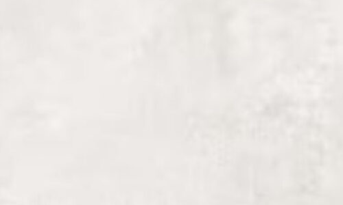 PARKER BLANC 12 x 24