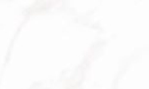 SILICA CALACATTA POLIE 12 x 24